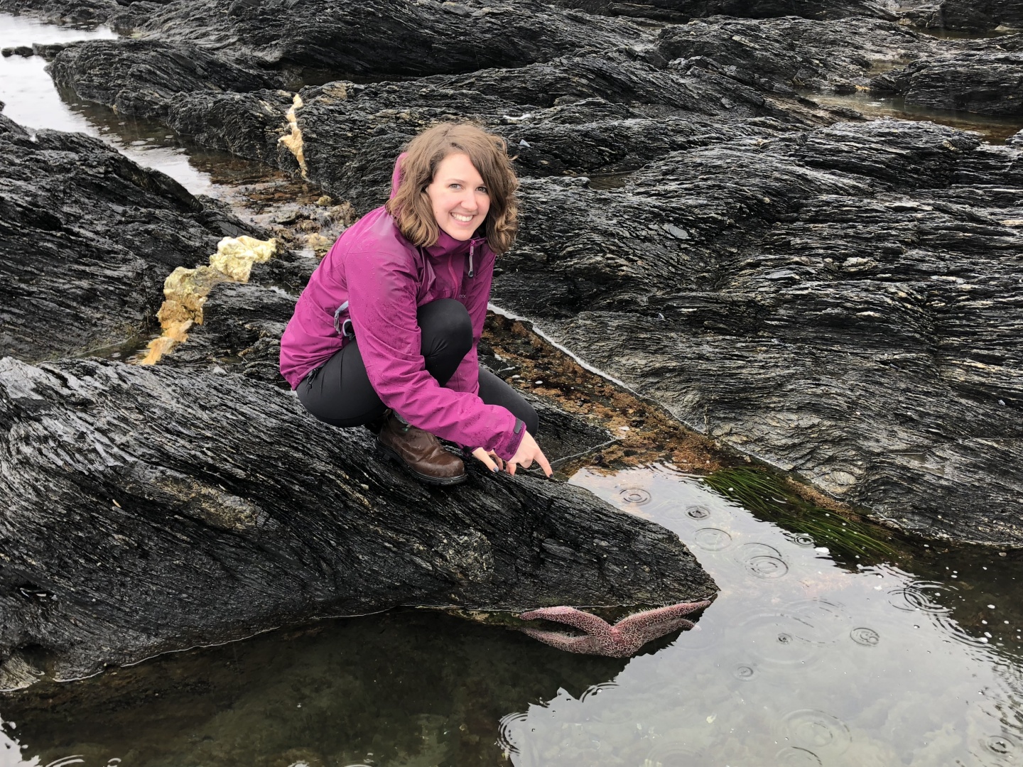 Kaitlyn kneeling on a rock at the water's edge pointing towards a large pink starfish below her.